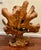 Organic Cyprus Root Sculpture - One of a Kind Statement Piece! For Sale - Image 9 of 12