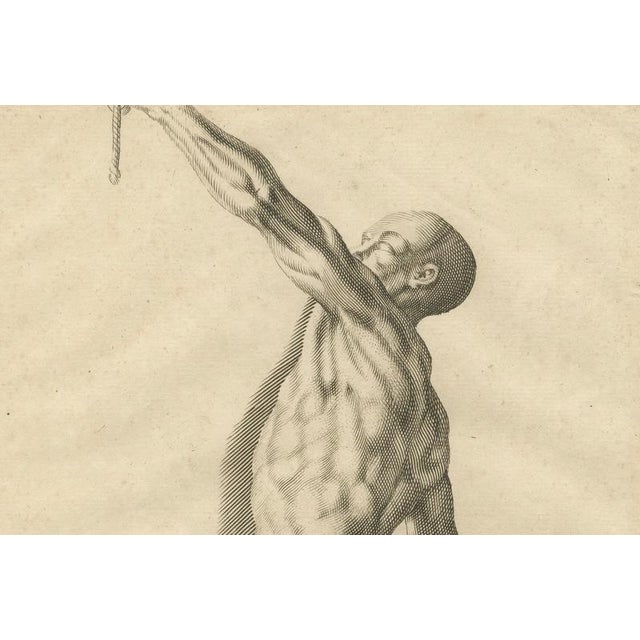 Mid 18th Century After Gérard de Lairesse, Anatomical Male Figure Reaching Upward, 1745, Paper For Sale - Image 5 of 10