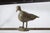 Greige 1940s Giacometti-Style Expressionist Iron Square Coffee Table With Birds, France For Sale - Image 8 of 10