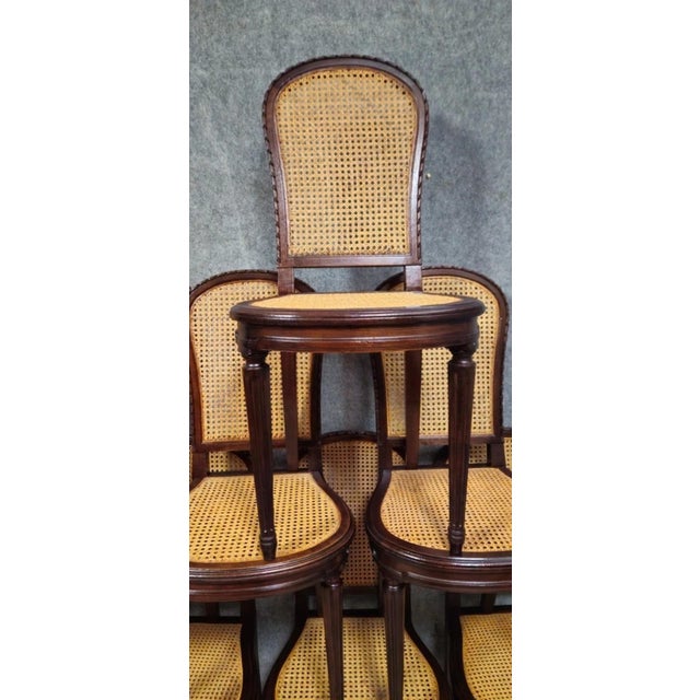 Louis XVI Style Cane Chairs in Mahogany, Set of 8 For Sale - Image 5 of 12