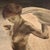 Italian Artist, Nude of a Young Woman, 1920, Oil on Canvas For Sale - Image 11 of 16