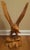 Contemporary Hand-Carved Single-Piece Figure of an Eagle on Wood Plinth, Circa 1950s For Sale - Image 3 of 14