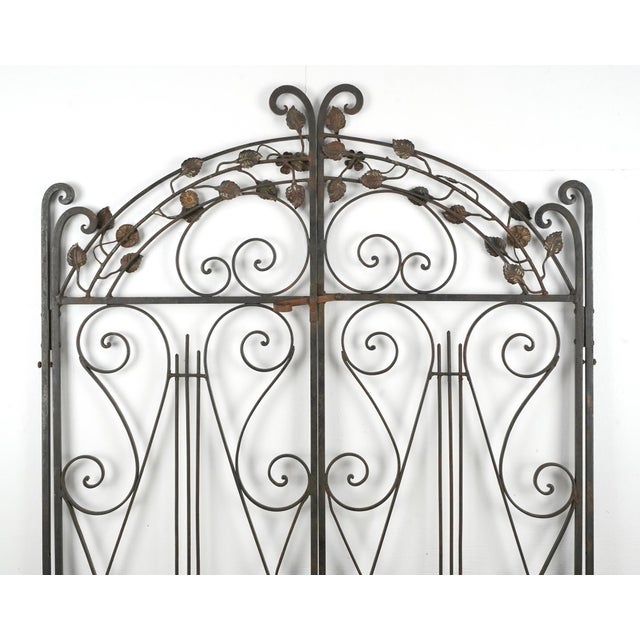 Reclaimed garden gates with a two panel structure. It is made of wrought iron with scrollwork and climbing ivy vines with...