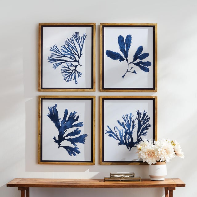 Coastal Indigo Seaweed Prints, Set Of 4 For Sale - Image 3 of 4