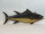 Carved and Painted Tuna Fish Carving For Sale - Image 4 of 10