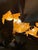 Metal Hollywood Regency Floor Lamp by Hans Kögl, 1970s For Sale - Image 7 of 18