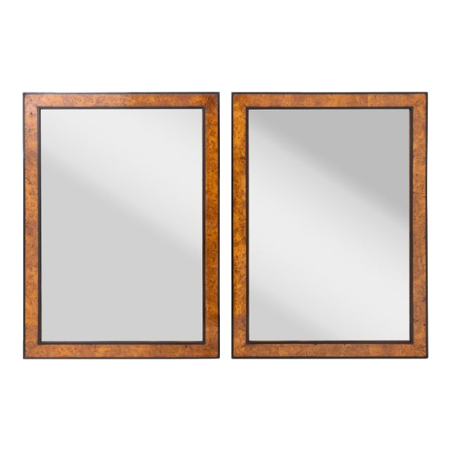 Early 19th Century Fine Pair of Biedermeier Mirrors For Sale