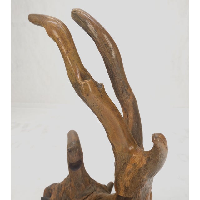Large 25" Tall Artist Signed Driftwood Root Burl Wood Natural Sculpture NICE! For Sale - Image 12 of 14