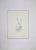 Knight is an original drawing in pencil realized by Leo Guida in 1970. Good condition. Leo Guida (1992 - 2017). Sensitive...