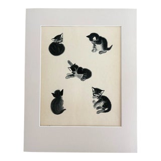 Vintage Clare Turlay Newberry Tabby Kitten Print From "Mittens" in 14x18 Mat EUC For Sale