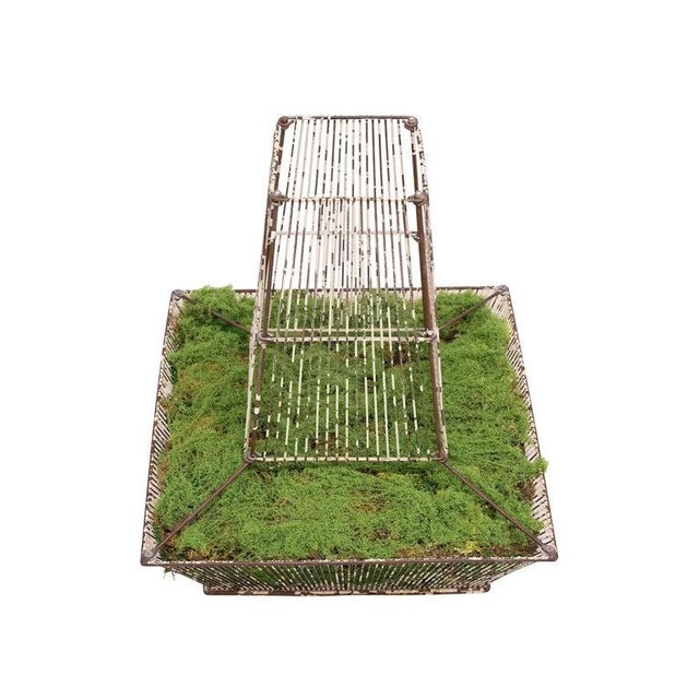 French Antique French Painted Iron Wirework Fernery Jardiniere For Sale - Image 3 of 6