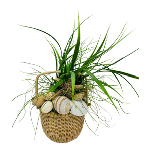 Nantucket Basket Filled With Shells