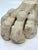 Antique Classical Marble Stone Fragment Lions Claw For Sale In Palm Springs - Image 6 of 16