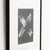 Karl Blossfeldt, Natural Grace, 1942, Photogravure, Framed For Sale - Image 6 of 13