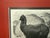 Original late-19th-century wood engraving of an Alpaca (Auchenia paco), drawn by the celebrated German natural-history...