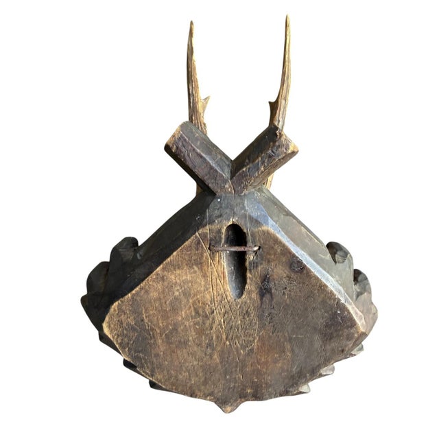 1900 - 1909 Roe Deer Trophy 177 Black Forest Antlers Mount For Sale - Image 5 of 5