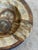 Gray 1970s Mid-Century Modern Danish Axella Ceramic Circle Motif Plate For Sale - Image 8 of 10