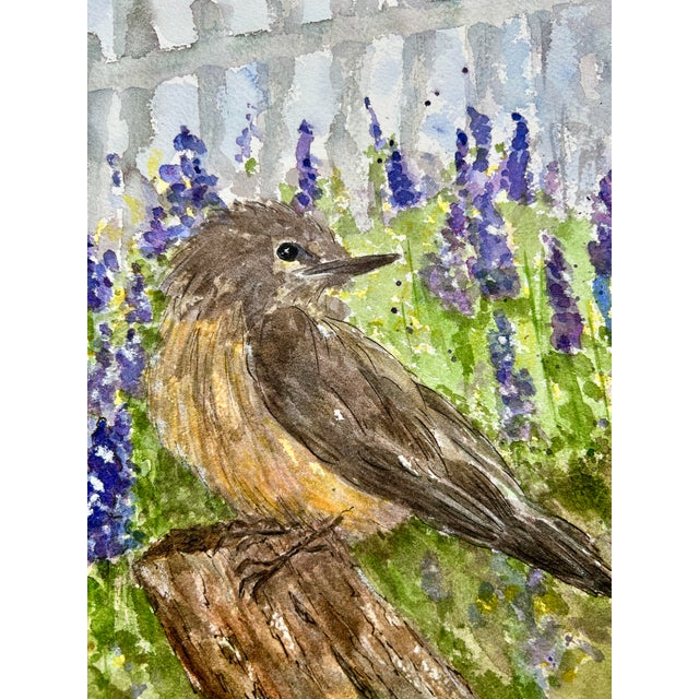 Original watercolor painting of a “Little Desert Bird.” I actually watched this bird’s mother and father build their nest....