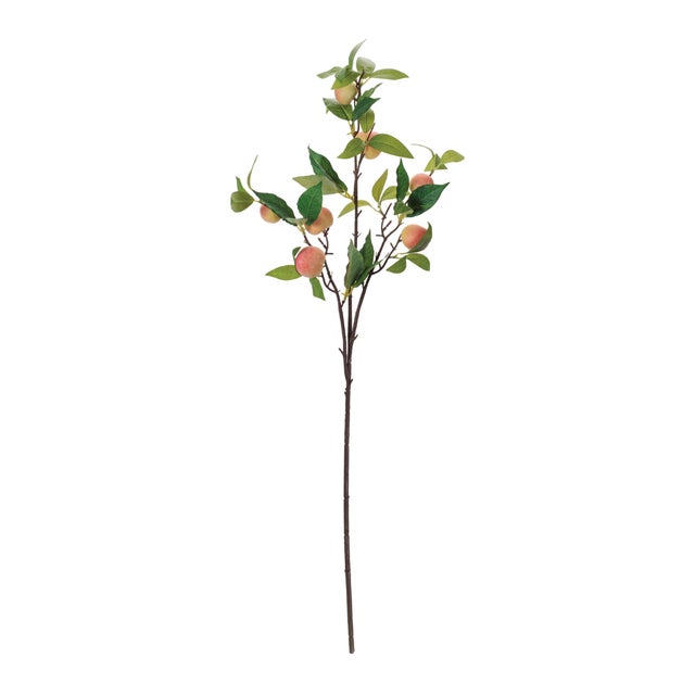 Kenneth Ludwig Chicago Peach Fruit Foliage Branch (Set of 6) For Sale - Image 4 of 5