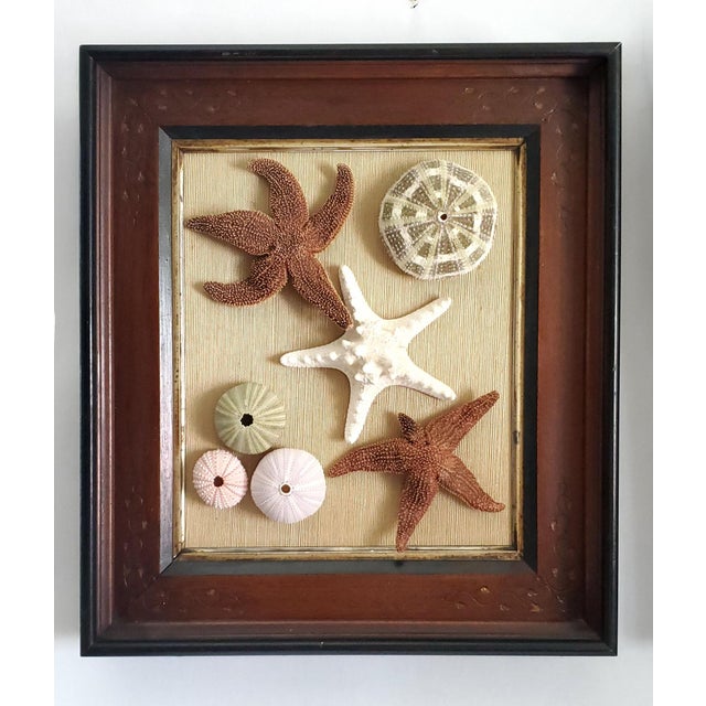 Christa's South Seashells Box Pair Coastal For Sale - Image 4 of 14