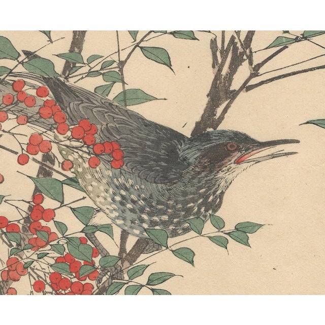 Imao Keinen, Brown-Eared Bulbul, 1892, Print For Sale - Image 4 of 13