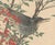 Imao Keinen, Brown-Eared Bulbul, 1892, Print For Sale - Image 4 of 13