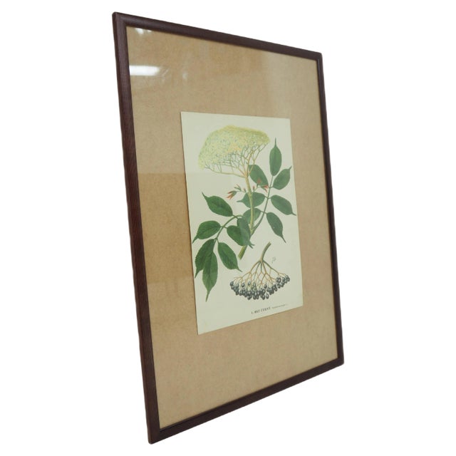 School Poster, Czechoslovakia, 1960s For Sale