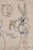 Virgil Ross Looney Tunes Character Sketch Lithograph For Sale - Image 10 of 12
