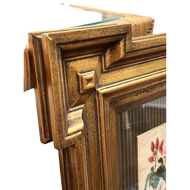 Paragon Botanical & Fruit Prints in Monumental Architectural Giltwood Frames, Pair For Sale - Image 16 of 16