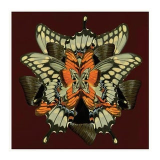 Midnight Wings: Cocoa Spice Art Print - Framed For Sale