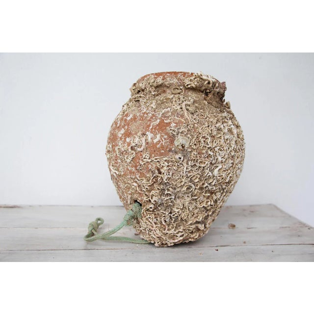 An hand made terracotta pot originally submerged under sea and used as a trap for an individual octopus. This pot has a...