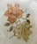 Circa 1959 Metlox PoppyTrail Woodland Gold Stoneware Coupe Bowls – Set of 7 For Sale - Image 12 of 18