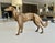 Bronze sculpture of a Borzoi, also known as a Russian Wolfhound. Well executed with fine detailing throughout. The...