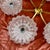 Vintage Icicle Glass Hanging Lamp from Doria Leuchten, 1960s For Sale - Image 16 of 17