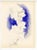 Modern "Le Lierre Sur Fond Bleu" Georges Braque Litohgraph C. 1955 For Sale - Image 3 of 3