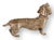 Rustic European Miniature Vienna Bronze Dachshund Dog For Sale - Image 3 of 4