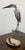 Coastal Brian Arthur Heron on a Branch With Lillies Bronze Sculpture For Sale - Image 3 of 12