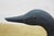 Vintage Wooden Wildlife Kennebunk Maine Hand Carved Solid Pine Swan Decoy 24" For Sale - Image 14 of 16