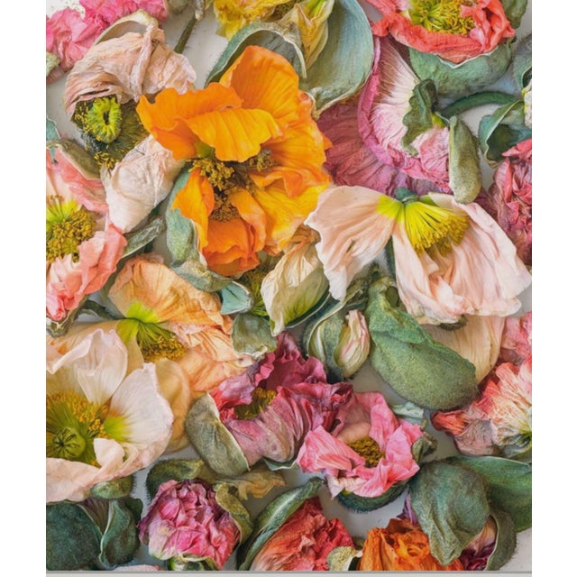 Scattered Pastel Color Poppies For Sale - Image 4 of 6