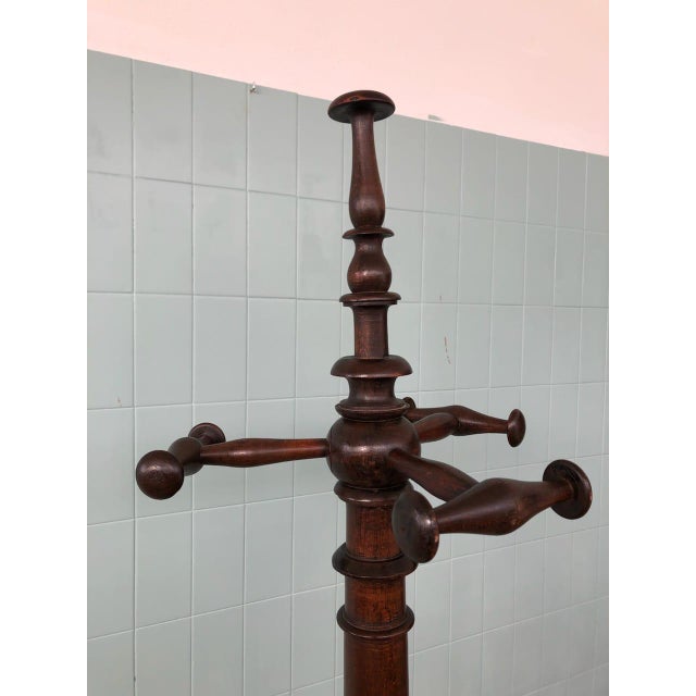 Antique Coat Rack in Walnut, 19th Century For Sale - Image 14 of 18