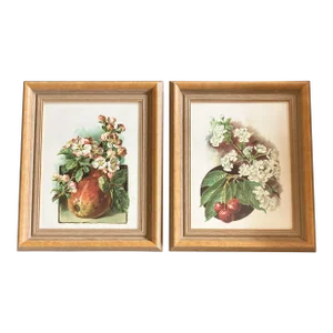 1970’s 2 Original Fruit & Flowers Lithograph Prints Original Wood Frames- a Pair