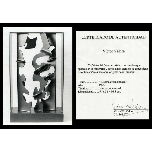 1990s Risoma Evoucionado, Victor Valera For Sale - Image 4 of 4