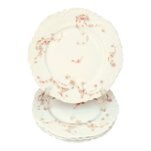 19thC French Haviland Limoges Plates, S/4