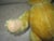 Textile Vintage German Herman Golden Mohair & Straw With Glass Eyes Teddy Bear For Sale - Image 7 of 10