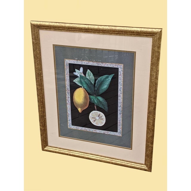 Farmhouse Vintage Chelsea House Lemon Print With Marbled Border Framed For Sale - Image 3 of 7