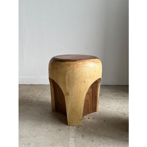 End of Sofa Stool or Side Table in Solid Monoxyl Suar Wood For Sale - Image 15 of 18
