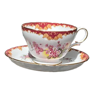 1960s Shelley Teacup & Saucer 13469 Made for T. M. James and Son