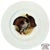 Theodore Haviland Vintage Theodore Haviland Porcelain Game Bird Plates by Edwin Megargee - Set of Six For Sale - Image 4 of 14