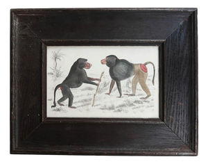 After Cpt.Brown, Baboons, 1847, Lithograph, Framed