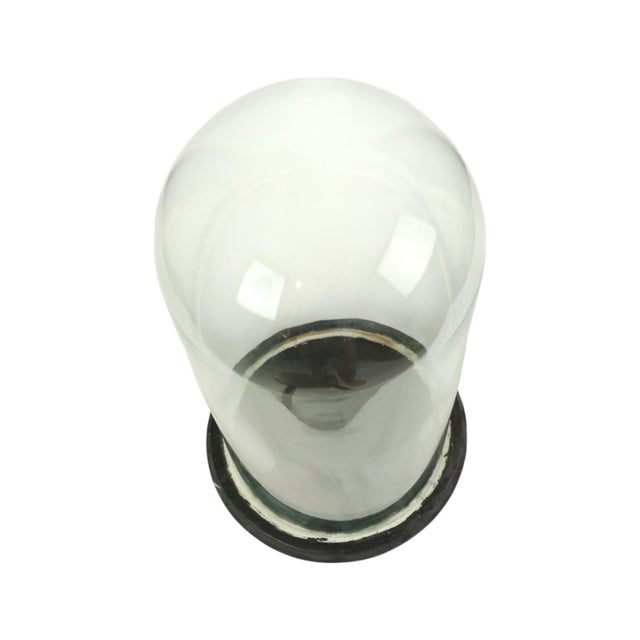 Antique Mouth-Blown Glass Dome Globe, 1890s For Sale - Image 4 of 12